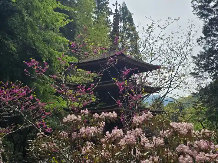 室生寺奥の院(奈良県)