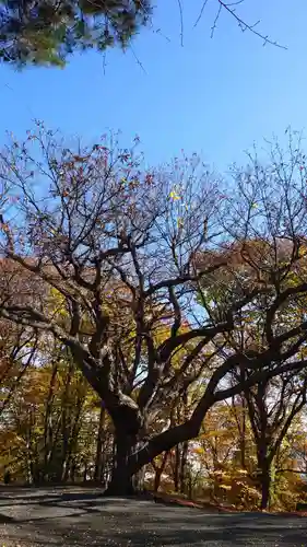 相馬神社(北海道)