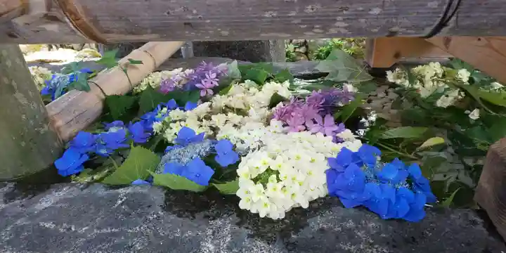賀茂別雷神社(上賀茂神社)の手水舎