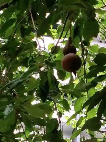 秋葉神社(東京都)