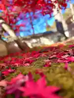 清水寺(長野県)