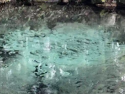 泉神社(茨城県)