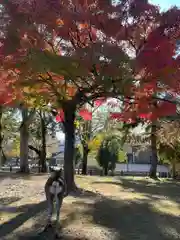 東大寺の動物