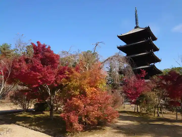 仁和寺の塔