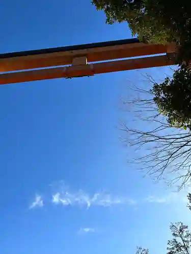 川越氷川神社(埼玉県)