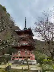 三室戸寺の塔