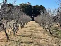 天満神社(滋賀県)