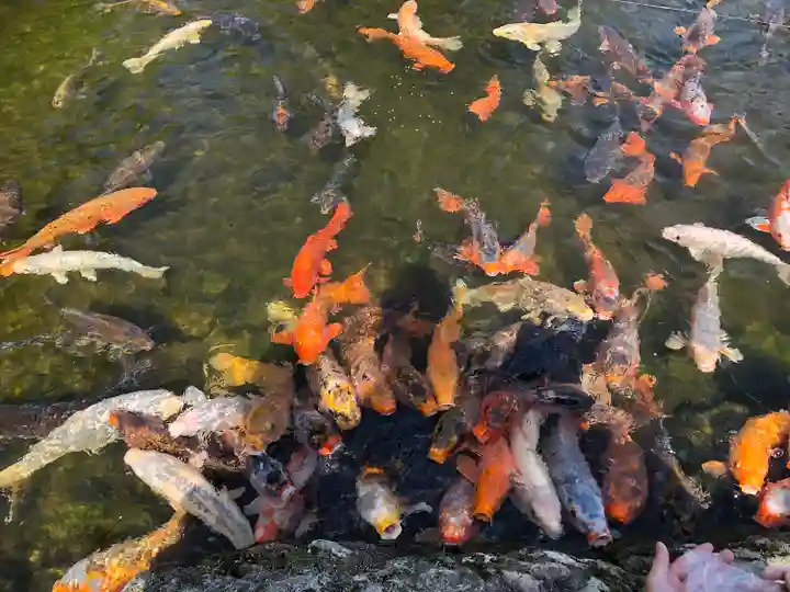 西方寺(宮城県)