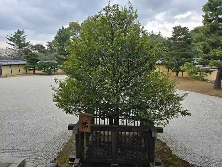 大覚寺(京都府)