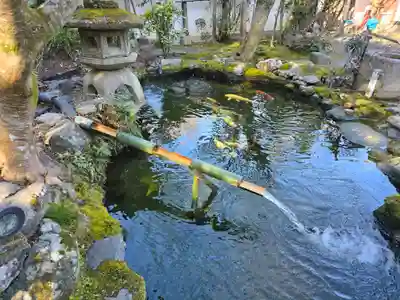 一條殿 新善光寺(京都府)