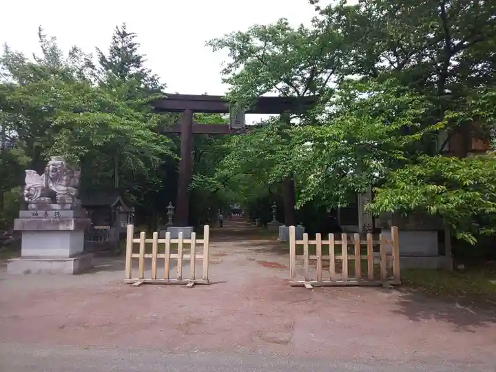 冨士御室浅間神社の鳥居