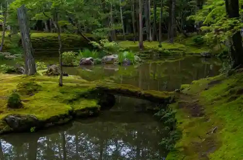 西芳寺の庭園