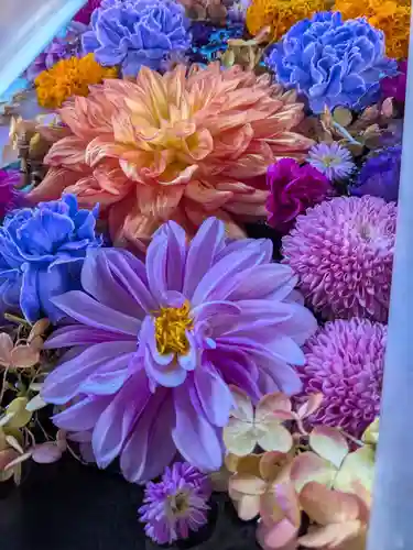 成田山深川不動堂（新勝寺東京別院）(東京都)