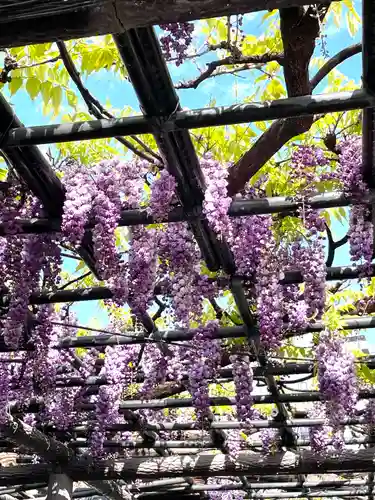 浅草寺(東京都)