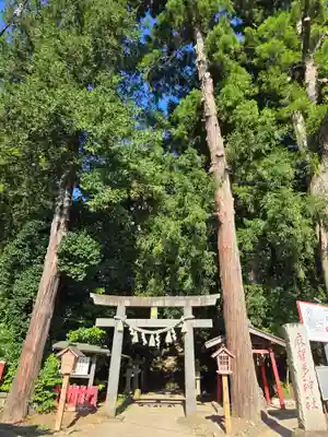 麻賀多神社(千葉県)
