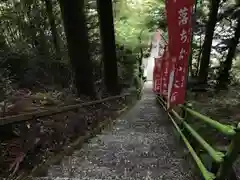 外森神社の自然