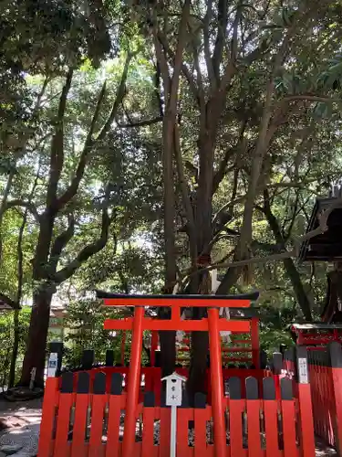 賀茂御祖神社（下鴨神社）(京都府)