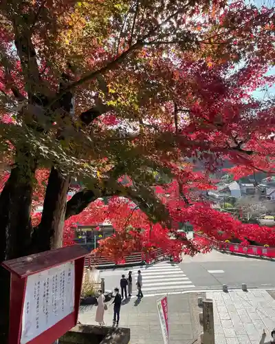 修禅寺(静岡県)