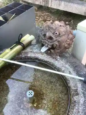 成蓮院の手水舎