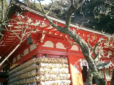 荏柄天神社の絵馬