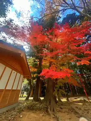 陸奥総社宮(宮城県)