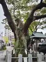 阿邪訶根神社(福島県)