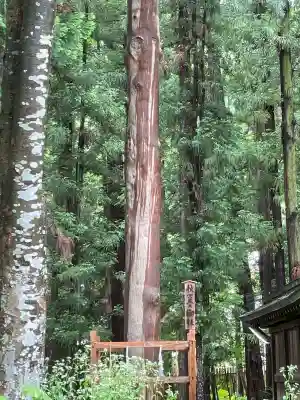 諏訪大社下社秋宮(長野県)