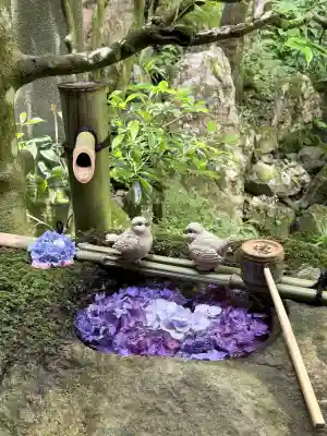 柳谷観音　楊谷寺(京都府)