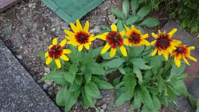 熊沢権現神社(静岡県)