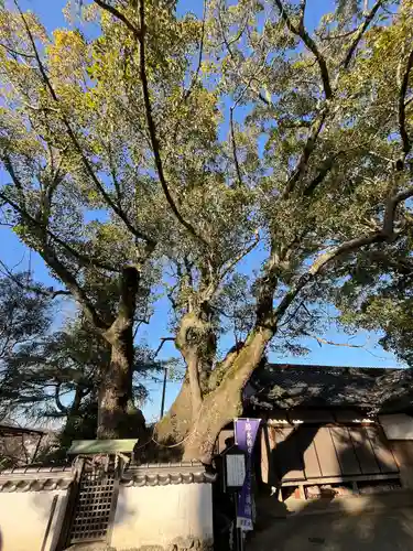 藤白神社(和歌山県)