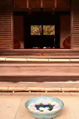 柳谷観音　楊谷寺(京都府)