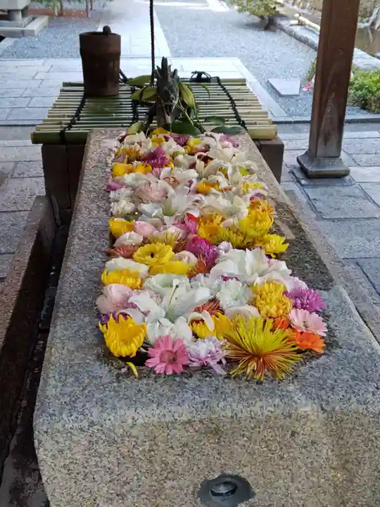 頂法寺(六角堂)(京都府)