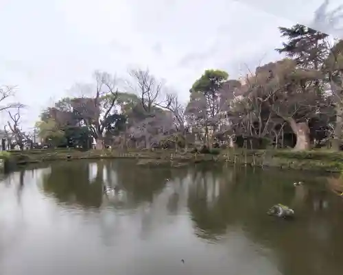 三嶋大社の{uncategorized: "未分類", other: "その他", undefined: "問題あり", building: "その他建物", grave: "お墓", sacred_gate: "鳥居", guardian: "狛犬", statue: "像", buddha: "仏像", history: "歴史", nature: "自然", garden: "庭園", animal: "動物", pagoda: "塔", temizu: "手水舎", mountain_gate: "山門・神門", sanctuary: "本殿・本堂", subordinate: "末社・摂社", art: "芸術", scenery: "景色", jizo: "地蔵", ema: "絵馬", goshuin: "御朱印", omikuji: "おみくじ", items: "授与品その他", amulet: "お守り", goshuincho: "御朱印帳", eats: "食事", festival: "お祭り", votive_dance: "神楽", shichigosan: "七五三参", wedding: "結婚式", experience: "体験その他", initially: "初詣", around: "周辺", anti_infection: "感染症対策"}