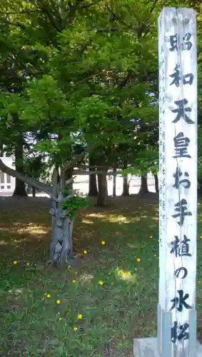 真駒内神社の自然