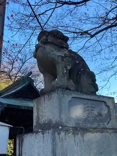 甲斐総社八幡神社の狛犬