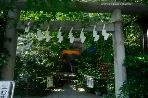 川越熊野神社の鳥居