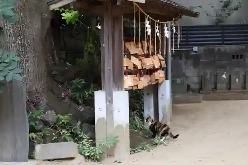 柏諏訪神社(千葉県)
