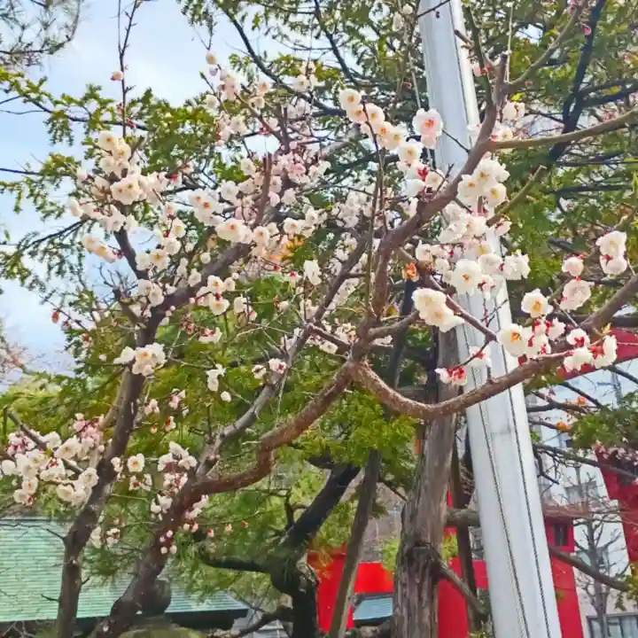 彌彦神社 (伊夜日子神社)の自然