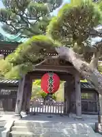 長谷寺(神奈川県)