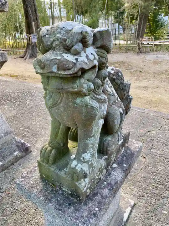 蛭子島神社の狛犬