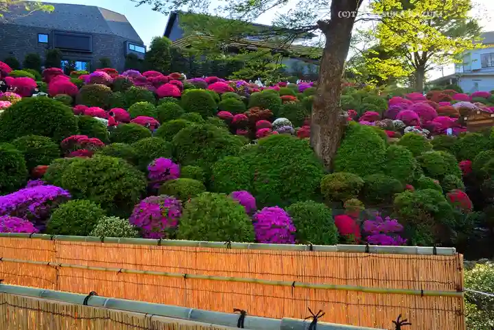 根津神社(東京都)
