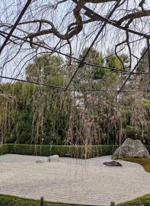 退蔵院(京都府)