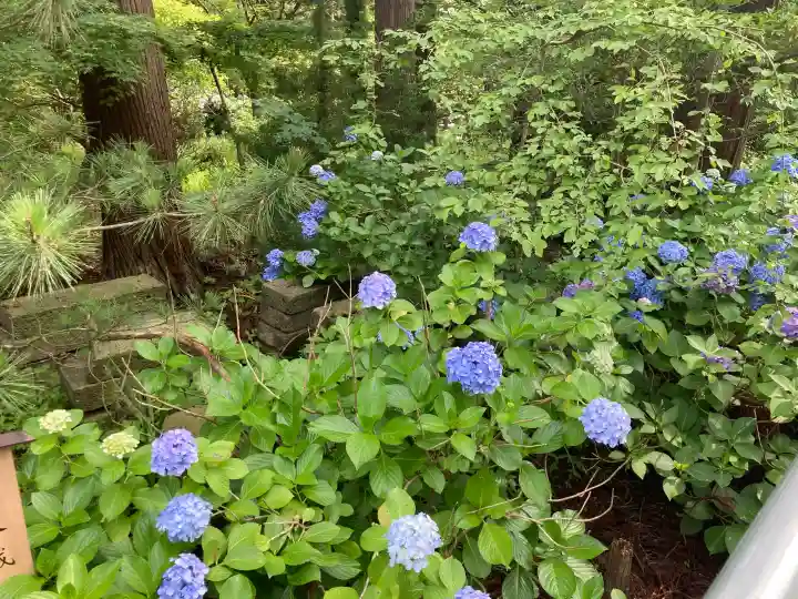 円覚寺(神奈川県)