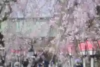 三嶋大社(静岡県)