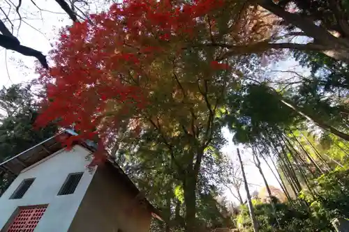 田村神社の景色