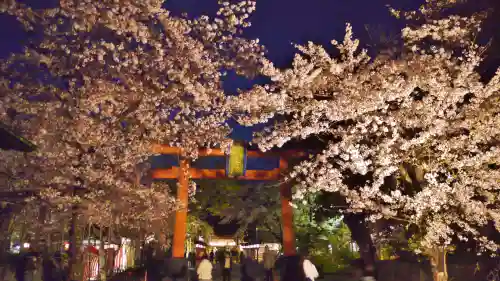 平野神社の鳥居