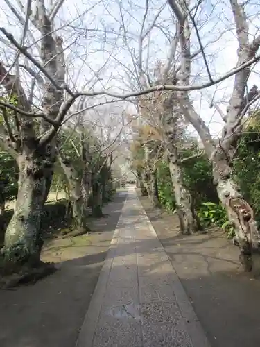 極楽寺（霊鷲山感應院極楽律寺）の景色