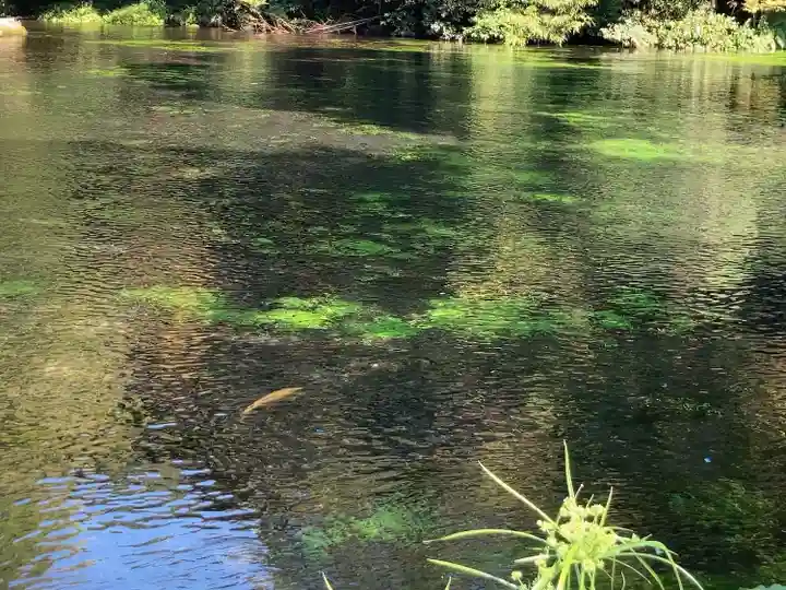 富士山本宮浅間大社(静岡県)