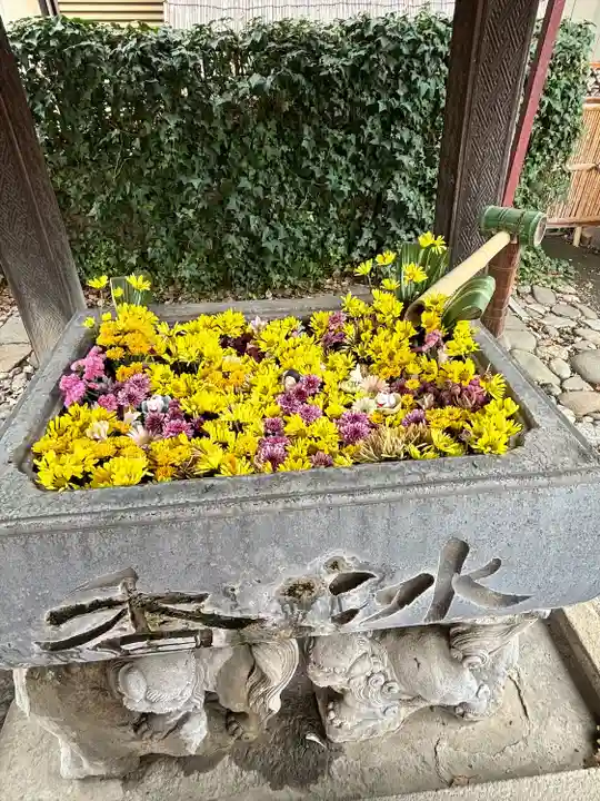 於菊稲荷神社の手水舎