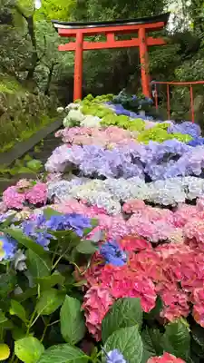 柳谷観音　楊谷寺(京都府)